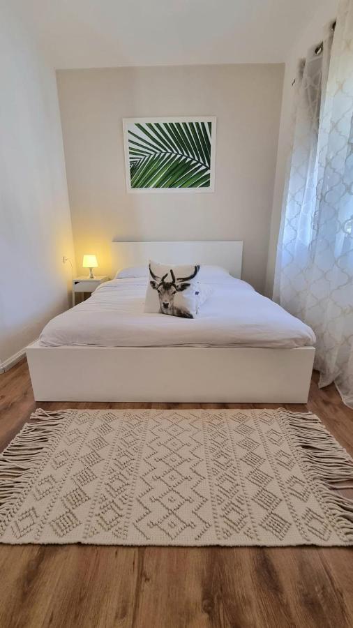 Villa Gal Eilat Esterno foto